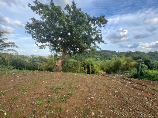 Villa in Petit-Bourg, Guadeloupe