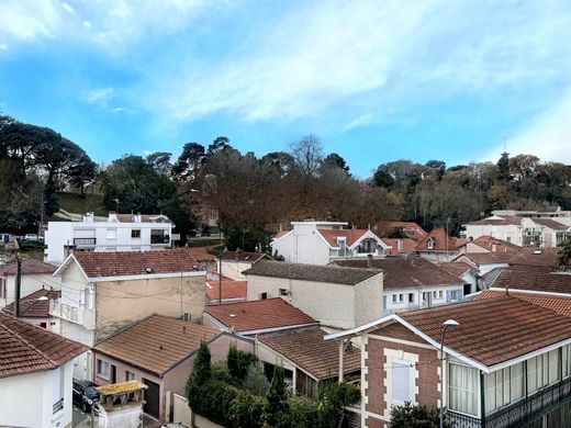 아파트 / Arcachon, Gironde