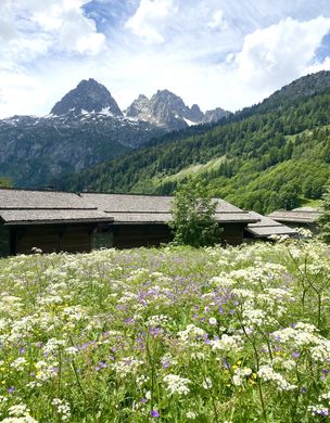 Luksusowy dom w Chamonix, Haute-Savoie