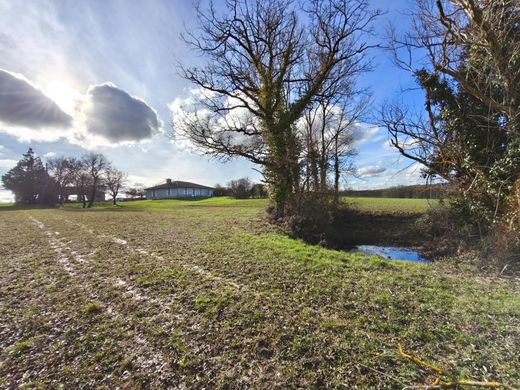 Maison de luxe à L'Isle-Jourdain, Gers