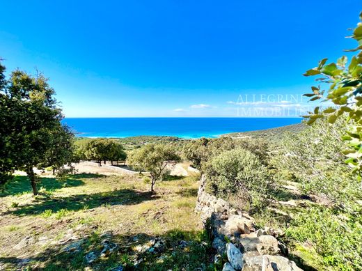 Grond in Corbara, Upper Corsica