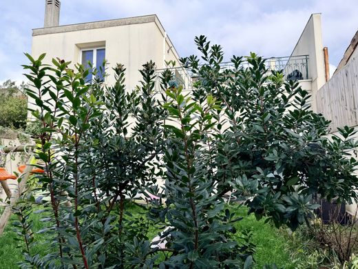 Casa de luxo - Bordéus, Gironda