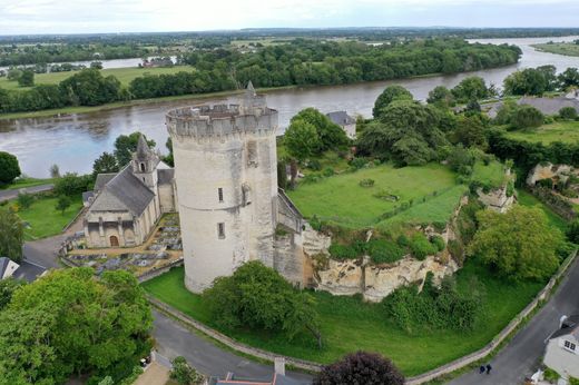 قلعة ﻓﻲ Trèves-Cunault, Maine-et-Loire