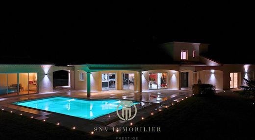 Luxury home in Roanne, Loire