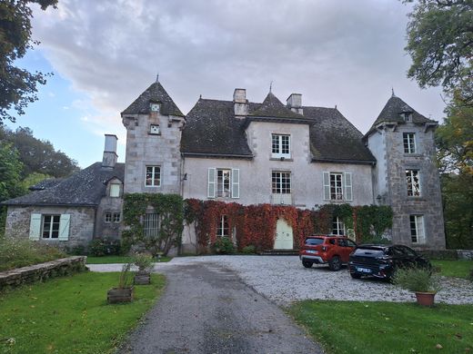 Schloss / Burg in Bassignac, Cantal