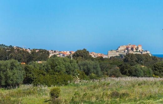 Land in Calvi, Upper Corsica