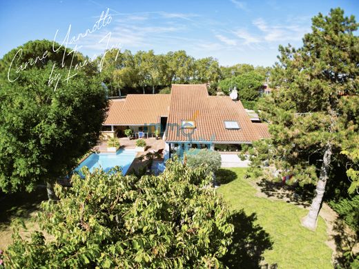 Luxus-Haus in Castelmaurou, Haute-Garonne