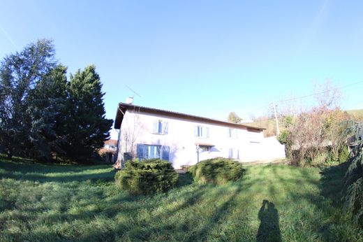 منزل ﻓﻲ Luzinay, Isère