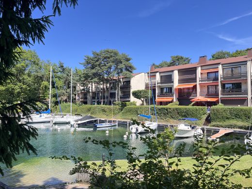 Thonon-les-Bains, Haute-Savoieのデュプレックス