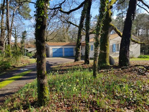 Luxury home in Sainte-Pazanne, Loire-Atlantique