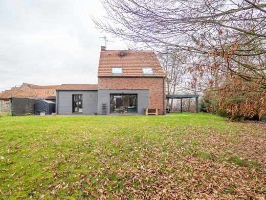 Casa de luxo - Templeuve-en-Pévèle, North