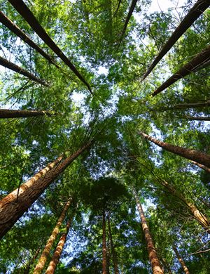 Appartement à Capbreton, Landes