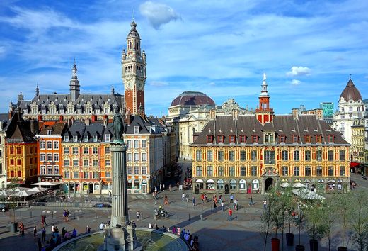 Casa di lusso a Lille, North