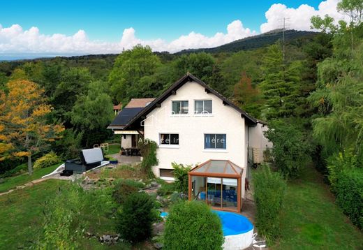 Luxury home in Échenevex, Ain