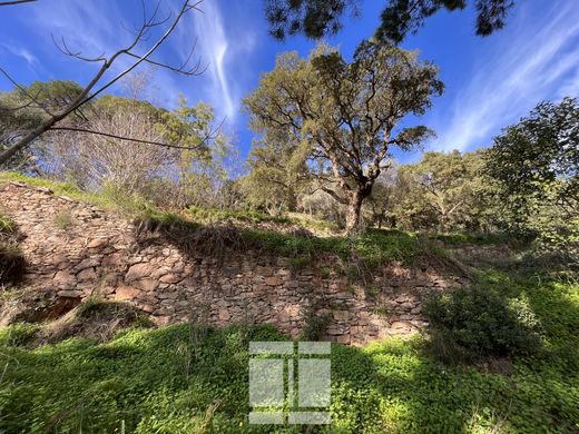 Terreno a Bastia, Corsica settentrionale