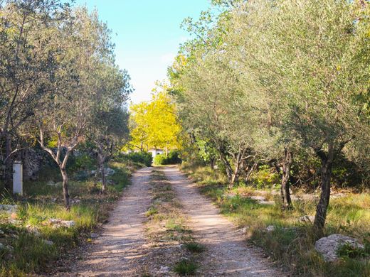 豪宅  Viols-le-Fort, Hérault