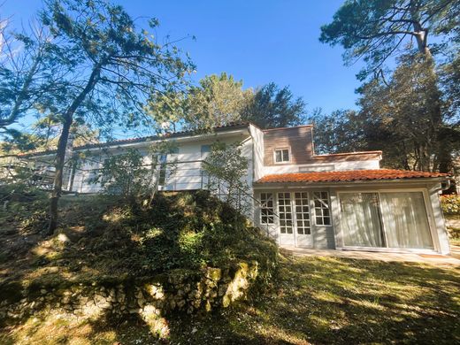 Luksusowy dom w Meschers-sur-Gironde, Charente-Maritime