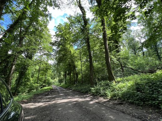 호화 저택 / Bruebach, Haut-Rhin