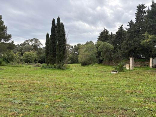 Land in La Croix-Valmer, Var