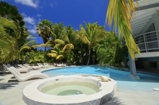 Luxe woning in Saint Martin