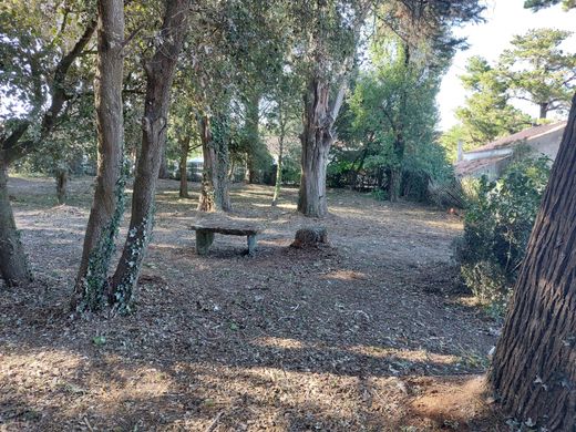 Участок, L'Épine, Vendée