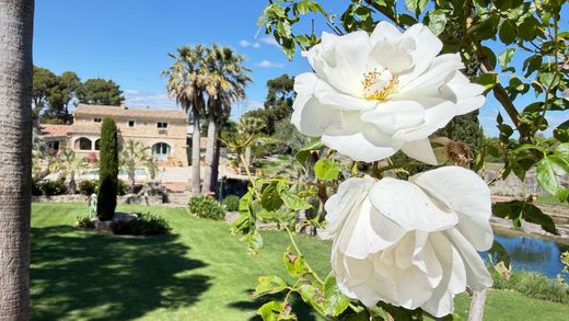 Luxury home in Servian, Hérault
