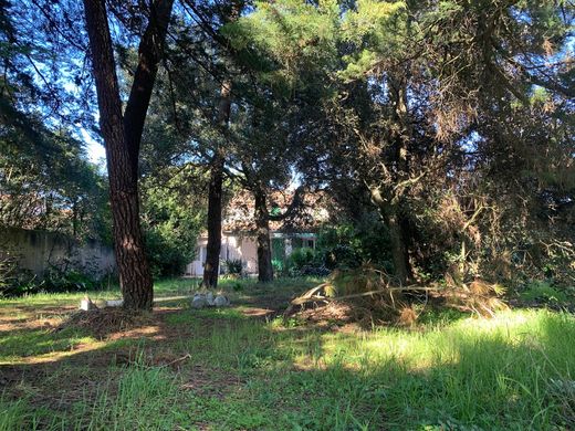 Luxury home in Sainte-Marie-de-Ré, Charente-Maritime