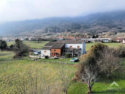 Collonges, Ainの高級住宅