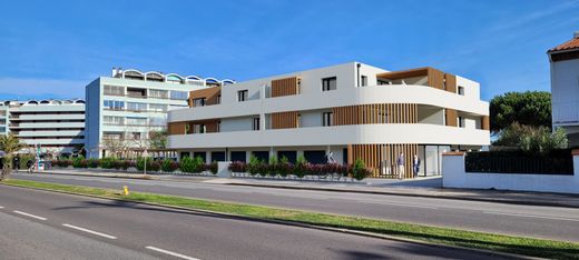 Apartment / Etagenwohnung in Saint-Cyprien, Pyrénées-Orientales