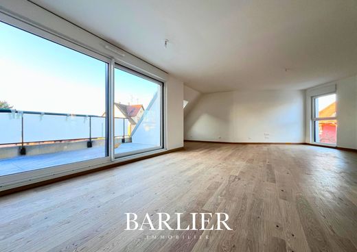 Duplex in Strasbourg, Bas-Rhin