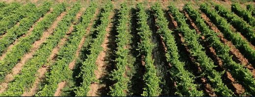 Πολυτελή κατοικία σε Hyères, Var