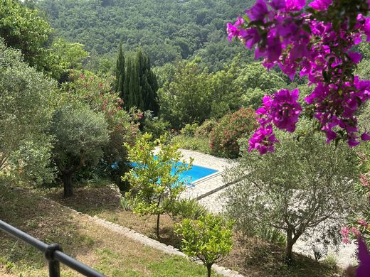 豪宅  Tourrettes-sur-Loup, Alpes-Maritimes