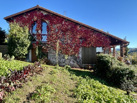 Maison de luxe à Amplepuis, Rhône