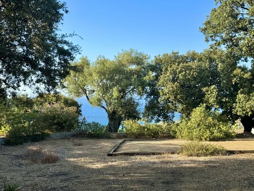 Terreno a Monticello, Corsica settentrionale