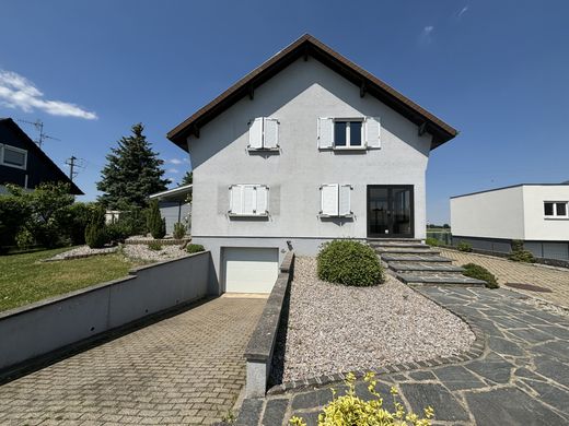 منزل ﻓﻲ Petit-Landau, Haut-Rhin