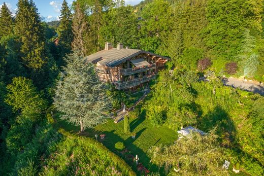 Chalet in Demi-Quartier, Haute-Savoie