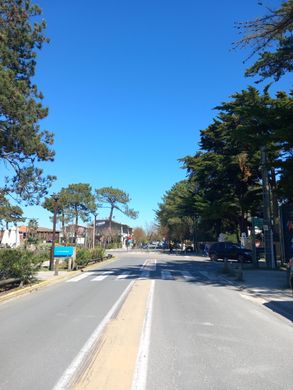 Luxe woning in Lège-Cap-Ferret, Gironde