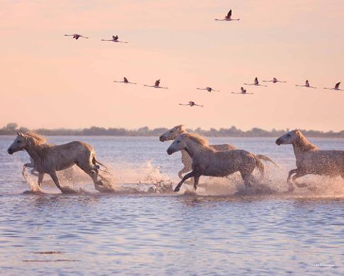 Piso / Apartamento en Le Grau-du-Roi, Gard