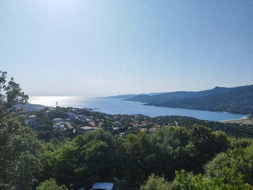 빌라 / Viggianello, South Corsica