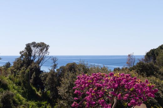 Willa w Sagone, South Corsica