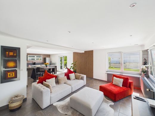 Luxury home in Niffer, Haut-Rhin
