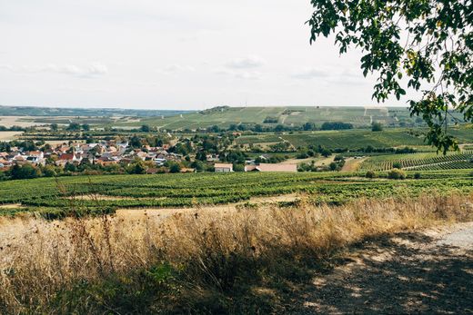 Terreno - Montereau-Fault-Yonne, Seine-et-Marne