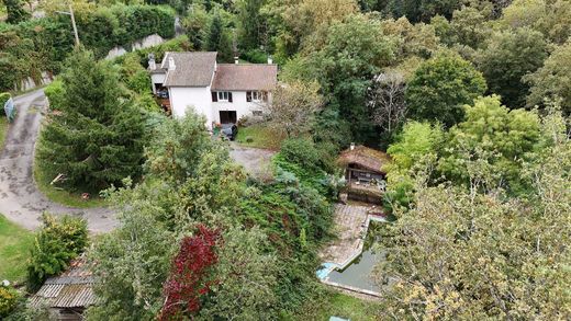 Casa di lusso a Sain-Bel, Rhône