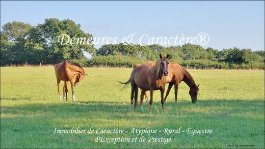 Luxus-Haus in Ancenis, Loire-Atlantique