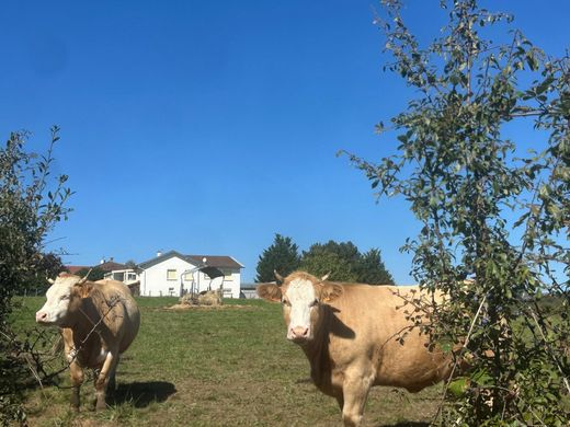 Casa de lujo en Francheville, Ródano