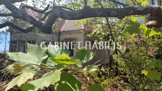 地皮  La Plaine-des-Palmistes, Réunion