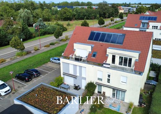 Apartment in Entzheim, Bas-Rhin