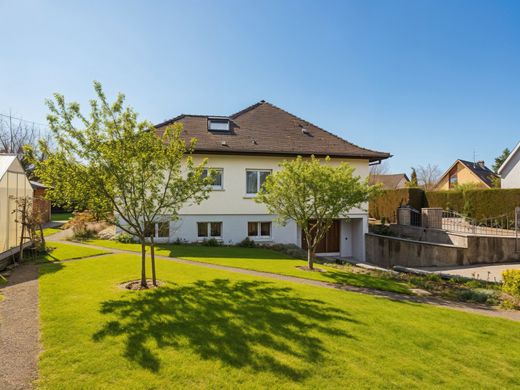 Luxury home in Saint-Louis, Haut-Rhin