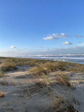 Luxus-Haus in Lège-Cap-Ferret, Gironde