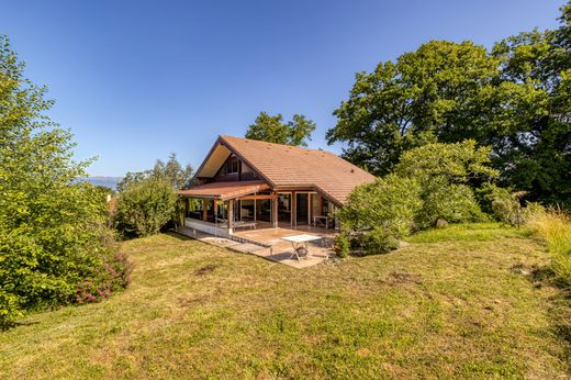 Luxury home in Neydens, Haute-Savoie